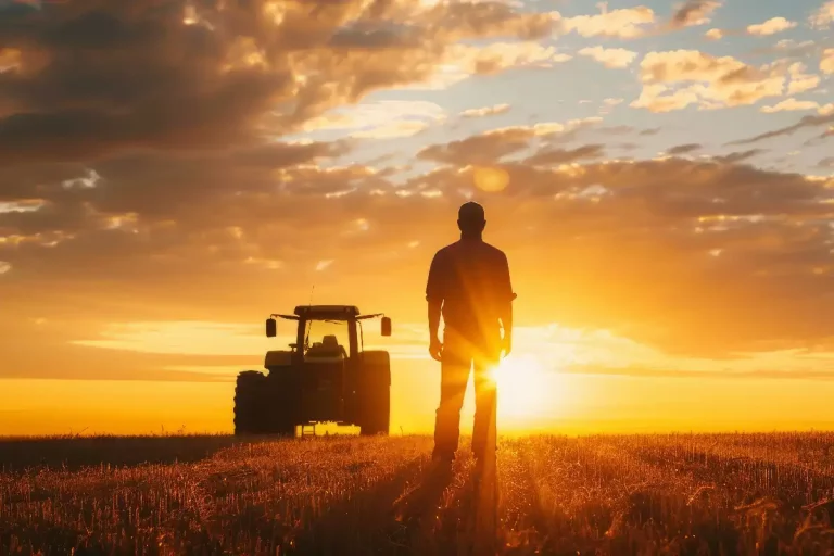 farmer proudly stands in a vast field at sunset feature 0726