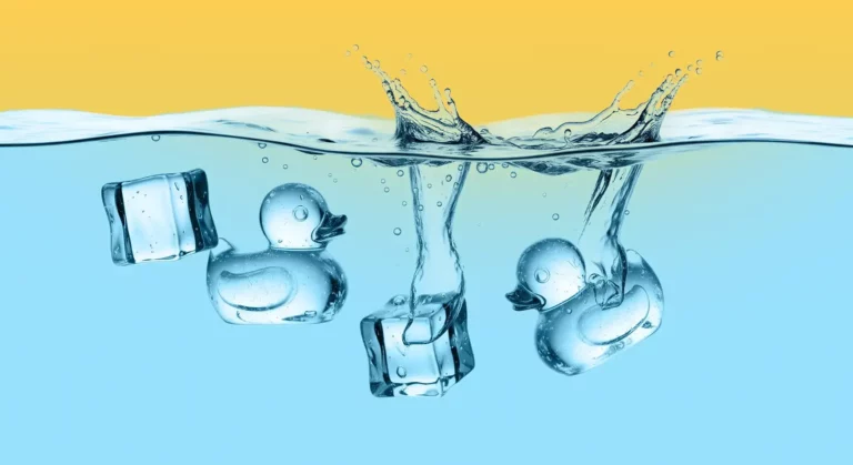 0264 ice ducks waterlevel feature 2000px