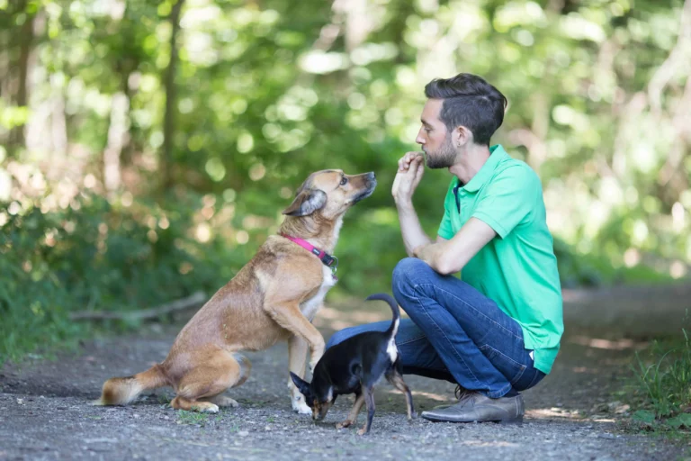 0824 Laurent Amann up